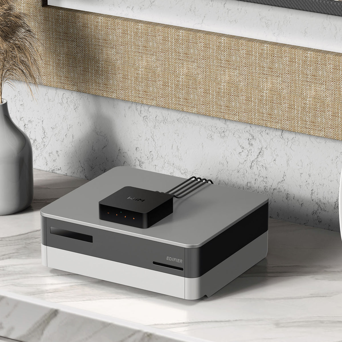 WiiM Home Pro Music Streamer with Hi-Res Audio