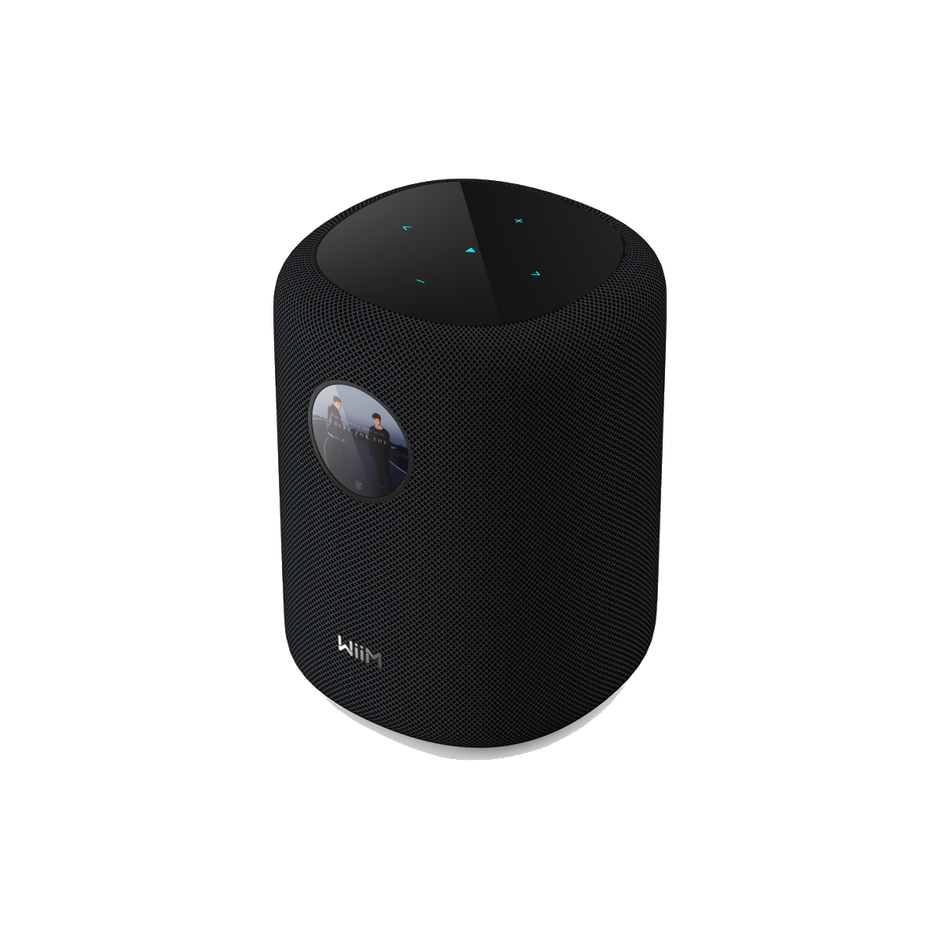 WiiM Home Smart Speaker with Hi-Res Audio, RoomFit™ & Multi-Room Streaming - Black