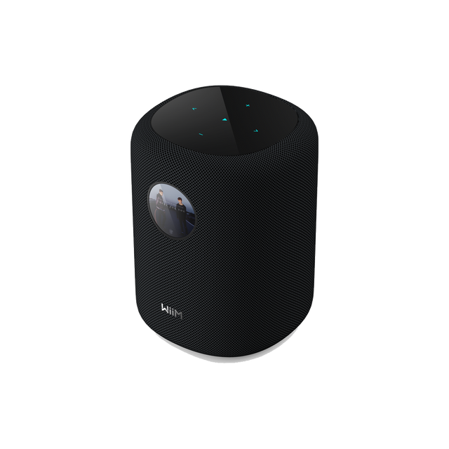 WiiM Home Smart Speaker with Hi-Res Audio, RoomFit™ & Multi-Room Streaming - Black